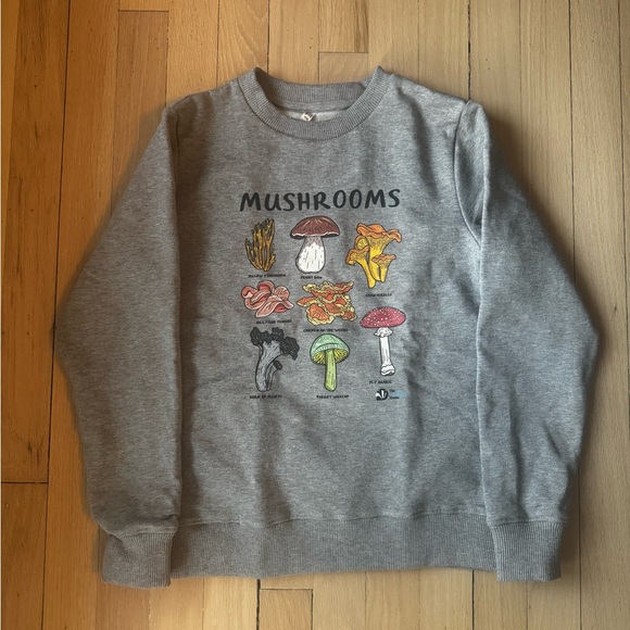 Other - Organic Cotton Mushroom Sweatshirt – Kids 9/10 – NWOT